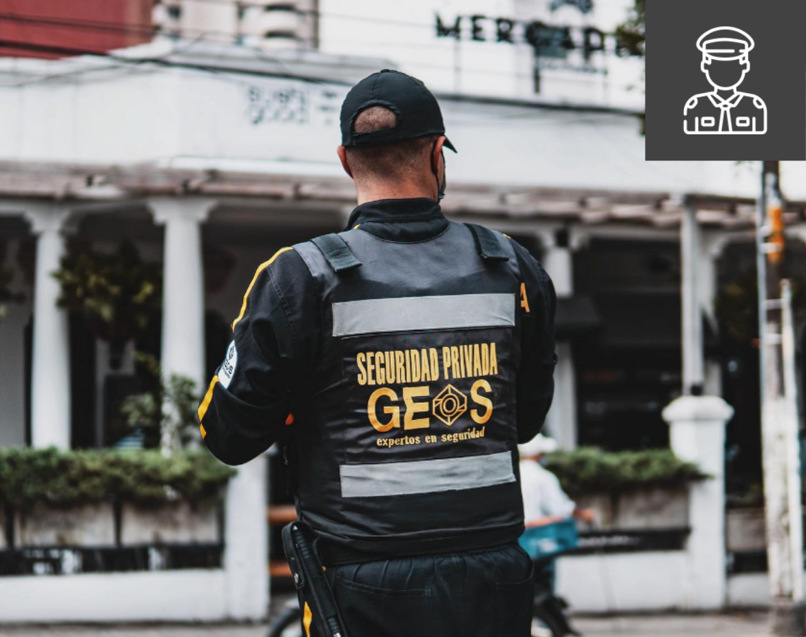 2GEOS SEGURIDAD