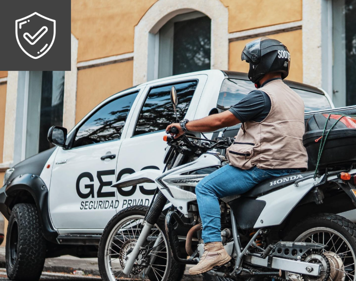 3GEOS SEGURIDAD